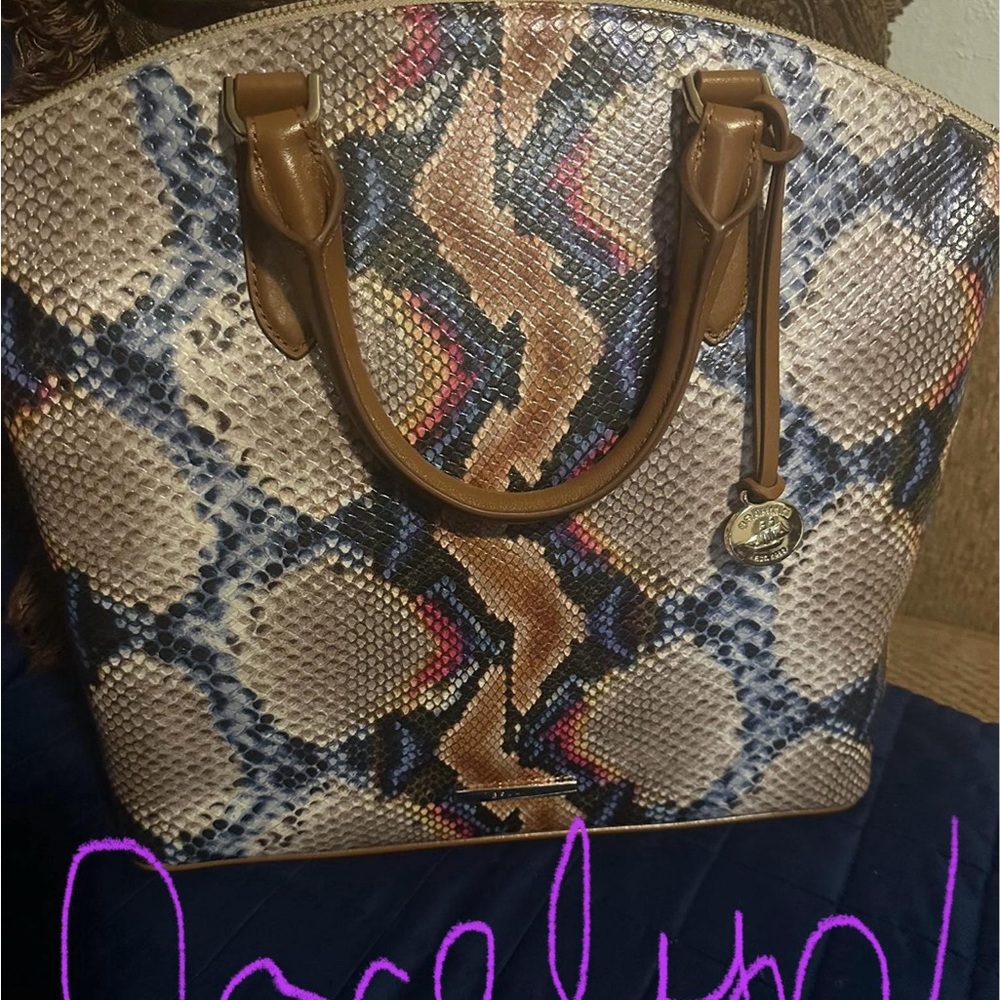 Designer Snakeskin Patterned Tote Bag - Brown and Blue